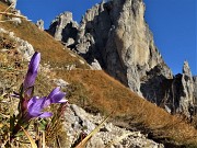 Rifugio Rosalba (1730 m) con Colle Garibaldi (1824 m) in autunnale ad anello il 28 ottobre 2020 - FOTOGALLERY